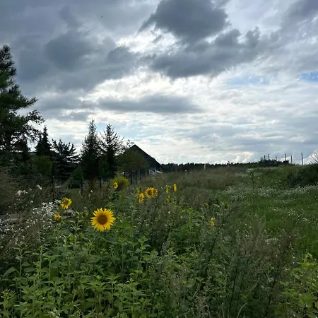 Koniec Swiata Nowa Stodola *