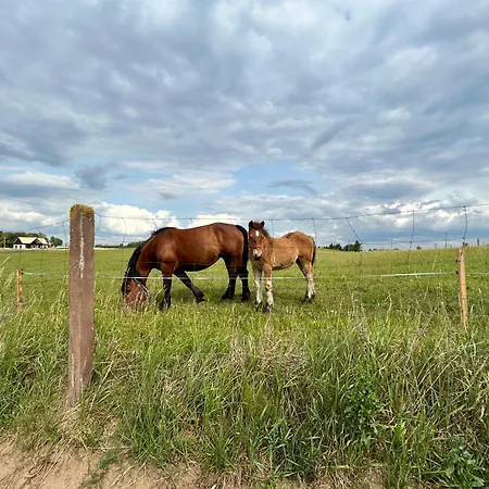 Daire Koniec Swiata Nowa Stodola Mikołajki